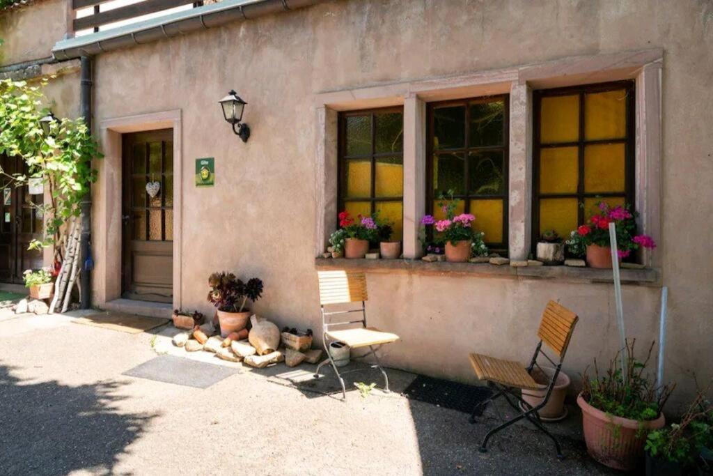 Gite L'Oeuf Ou La Poule, Parking Prive, Sur Domaine Viticole Ribeauvillé Εξωτερικό φωτογραφία